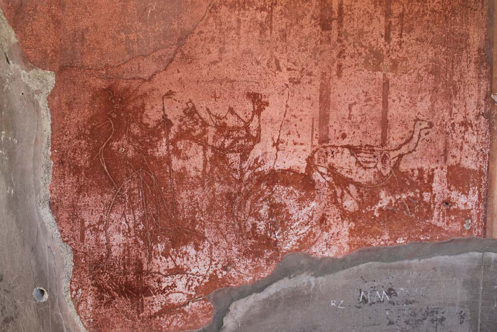 V.1 Herculaneum. March 2014. Room 2, graffiti from east end of south wall.
Foto Annette Haug, ERC Grant 681269 DÉCOR.